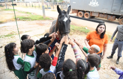 Estudantes vivenciam a pecuria na Expoagro