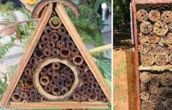 Projeto de hotéis de polinizadores contribui para a conservação de abelhas em MT