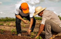 Governo de Mato Grosso regulamenta fundo para destinar recursos a agricultura familiar