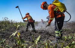 Barra do Garas e gua Boa tm 12 vagas para brigadistas; salrios de R$ 2,4 mil