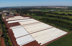 Silo bolsa ajuda o produtor a valorizar a safra