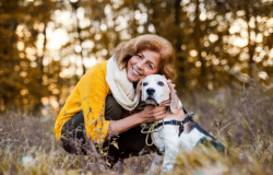 10 cuidados com os cachorros idosos durante os passeios