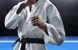 Braslia celebrar o encerramento do Bud - Artes Marciais em Ao no dia 22 de agosto