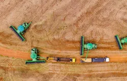Mato Grosso ter forte acelerao econmica em 2025