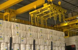 Brasil deve exportar volume recorde de algodo na safra 2024/25, apesar da reduo de rea em MT