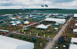 Desenvolve MT apresenta crdito para impulsionar o agronegcio e a economia local no Show Safra 2025