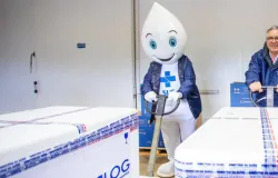 Ministrio da Sade comea a distribuir 35 milhes de doses da vacina contra a gripe