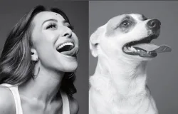 Dia do Vira-Lata reacende debate sobre abandono animal