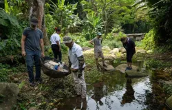 Greenpeace apresenta propostas para que pa�ses adotem medidas de adapta��o clim�tica centradas nas comunidades