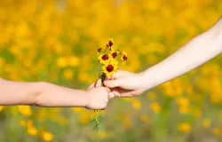 A cincia explica: 6 motivos para ser gentil todos os dias