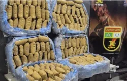 Polcia Militar prende casal e apreende 240 tabletes de maconha em Vrzea Grande