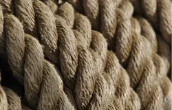 Motorista de aplicativo  enforcado por falsos clientes e corpo  desovado em matagal