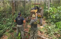 Polcia Civil e Ibama intensificam combate ao desmatamento ilegal em Comodoro
