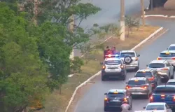 Vigia Mais MT ajuda na recuperao de 26 veculos com placa clonada em dois anos