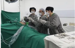 Hospital Metropolitano realiza mutiro de cirurgias neste sbado (29)