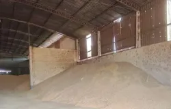 Fora Ttica recupera 116 toneladas de gros e prende homem por furto e receptao