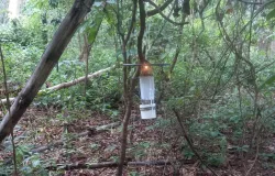 SES realiza treinamento indito para combater arboviroses