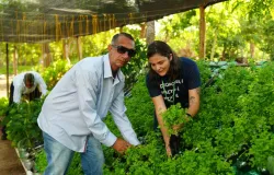 Parceria entre Setasc e Grupo Solar viabiliza horta hidrop�nica em instituto terap�utico de Cuiab�