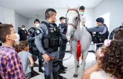 Cavalaria da PM registra mais de 3,5 mil atendimentos em projeto de equoterapia