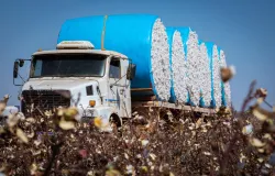 Mato Grosso lidera a balan�a comercial brasileira em 2025