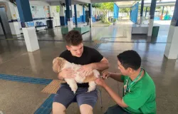 Cuiab� registra aumento da leishmaniose e refor�a alerta contra a raiva