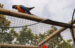 Guarda de animais silvestres permanece aberta durante todo o ano, entenda