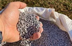 Mercado de fertilizantes inicia 2026 em alta com restri��es na oferta global e valoriza��o dos fosfatados