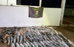Batalh�o Ambiental da PM prende homem com mais de 340 quilos de pescado ilegal em Cuiab�