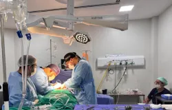 Central Estadual de Transplantes realiza capta��o de cinco �rg�os em Nova Mutum