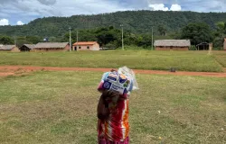 Programa SER Fam�lia Ind�gena refor�a seguran�a alimentar para 550 fam�lias em aldeias do Araguaia