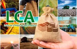 LCAs consolidam lideran�a no financiamento privado do agroneg�cio e movimentam mais de R$ 580 bilh�es em janeiro
