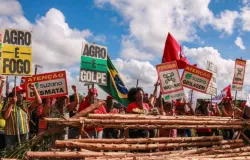 Mulheres Sem Terra realizam Jornada de Lutas pela Reforma Agr�ria e contra as viol�ncias