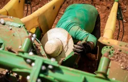 Mato Grosso abre 2026 com saldo de 18,7 mil novos empregos com carteira assinada em janeiro