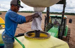 Agropecu�ria gera mais de 10 mil empregos em Mato Grosso e destaca Estado no cen�rio nacional