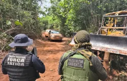 Batalh�o Ambiental aplica multa em mais de R$ 1 milh�o por explora��o irregular de madeira