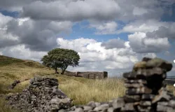 Como 'O Morro dos Ventos Uivantes' se tornou um fen�meno cultural