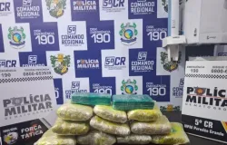 For�a T�tica prende homem que transportava 7,5 quilos de drogas dentro de �nibus