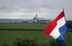 Paraguai registra safra hist�rica de soja e pode superar 12 milh�es de toneladas em 2026