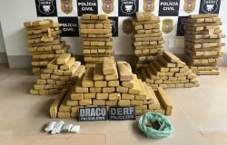 Pol�cia Civil apreende 305 tabletes de maconha e prende gerente de fac��o em Rondon�polis