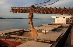 Exporta��es de soja ganham ritmo em mar�o enquanto riscos geopol�ticos pressionam custos log�sticos