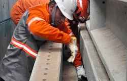 Corpo de Bombeiros resgata cachorro preso entre uma pilha de postes de concreto