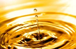 Esmagamento de soja no Brasil deve bater recorde em 2026, projeta ABIOVE