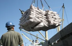 Agro brasileiro amplia exporta��es de carnes, frutas e insumos