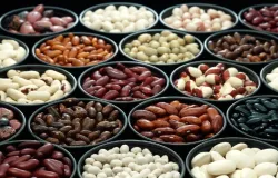 Pre�os sobem para gr�os de maior qualidade, mas demanda limita neg�cios