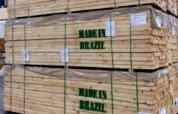 Guerra entre EUA e Ir� impacta exporta��es brasileiras de madeira e amplia incertezas no setor