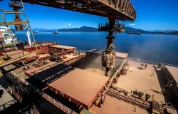 Exporta��es do agro brasileiro avan�am em abril e soja lidera embarques, aponta ANEC