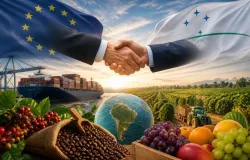 Acordo Mercosul-UE entra em vigor e abre mercado para agro brasileiro, com desafios distintos para caf� e frutas