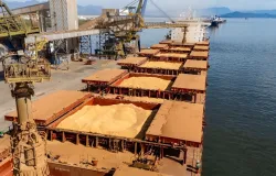 Exporta��es brasileiras de soja disparam em 2026 e ANEC projeta embarques acima de 108 milh�es de toneladas