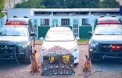 Gefron apreende 26 kg de pasta base de coca�na e causa preju�zo de R$ 500 mil �s fac��es criminosas
