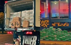 Carga de 130 kg de pasta base de coca�na � apreendida em caminh�o frigor�fico na BR-364